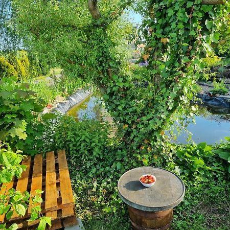Apartament U Beti Opole Dış mekan fotoğraf