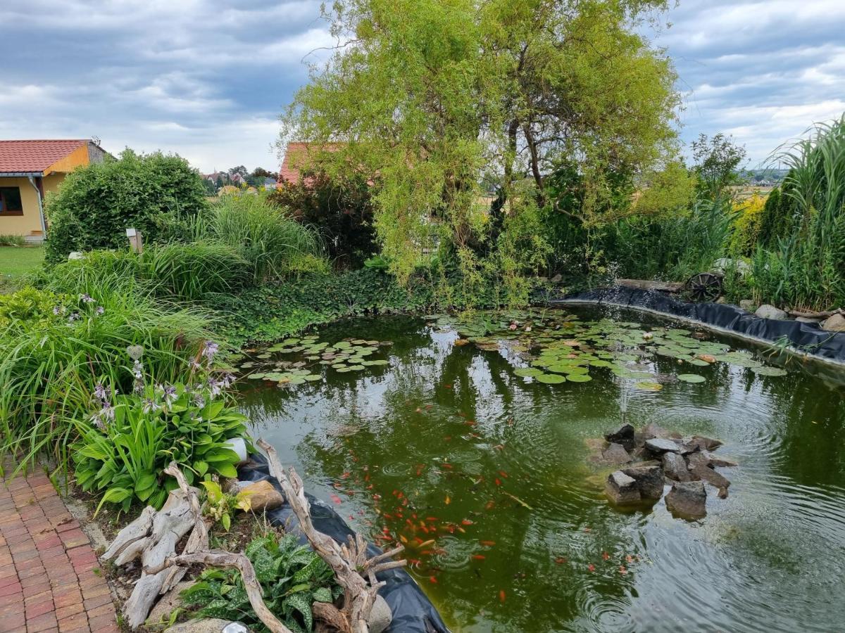 Apartament U Beti Opole Dış mekan fotoğraf