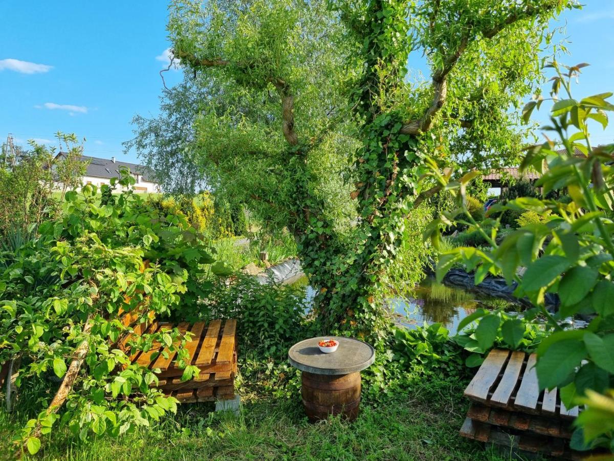 Apartament U Beti Opole Dış mekan fotoğraf